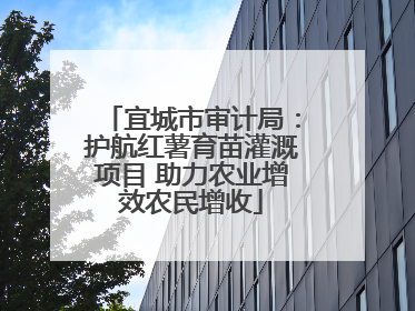 宜城市审计局：护航红薯育苗灌溉项目 助力农业增效农民增收