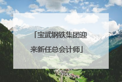 宝武钢铁集团迎来新任总会计师