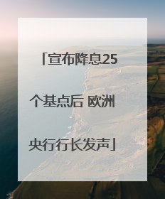 宣布降息25个基点后 欧洲央行行长发声
