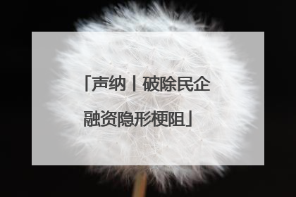 声纳丨破除民企融资隐形梗阻