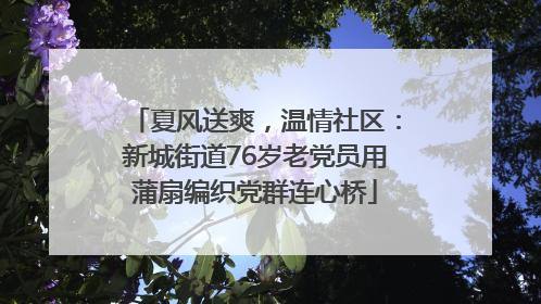 夏风送爽，温情社区：新城街道76岁老党员用蒲扇编织党群连心桥