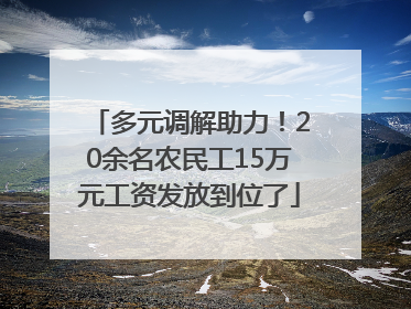 多元调解助力！20余名农民工15万元工资发放到位了