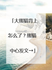 大熊猫背上怎么了？熊猫中心发文→