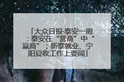 大众日报·泰安一周：泰安在“营商”中“赢商”；新泰就业、宁阳夏收工作上要闻