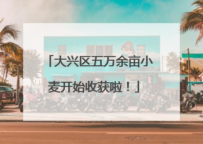 大兴区五万余亩小麦开始收获啦！