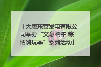 大唐东营发电有限公司举办“艾意端午 粽情嗨玩季”系列活动