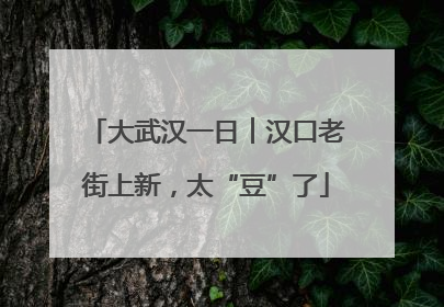 大武汉一日︱汉口老街上新，太“豆”了