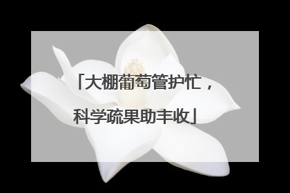 大棚葡萄管护忙，科学疏果助丰收