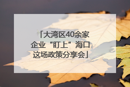 大湾区40余家企业“盯上”海口这场政策分享会