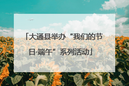 大通县举办“我们的节日·端午”系列活动
