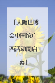 大阪世博会中国馆广西活动周启幕