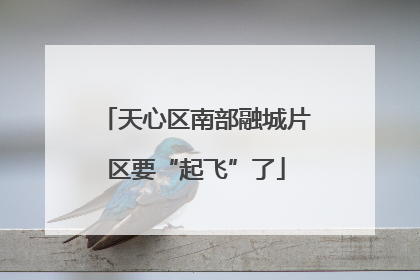 天心区南部融城片区要“起飞”了