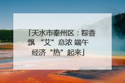 天水市秦州区：粽香飘 “艾”意浓 端午经济“热”起来