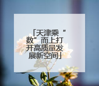 天津乘“数”而上打开高质量发展新空间