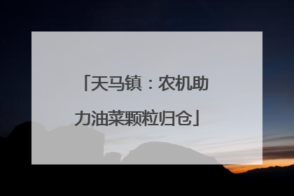 天马镇：农机助力油菜颗粒归仓