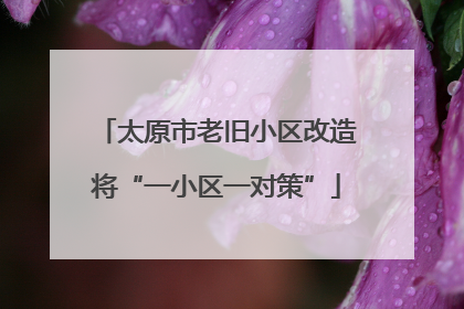 太原市老旧小区改造将“一小区一对策”