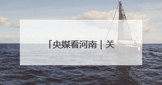 央媒看河南｜关注河南小麦收购、高考保障等内容