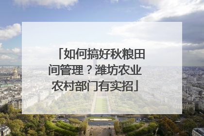 如何搞好秋粮田间管理？潍坊农业农村部门有实招