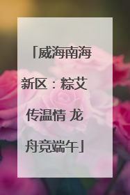 威海南海新区：粽艾传温情 龙舟竞端午