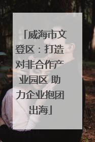威海市文登区：打造对非合作产业园区 助力企业抱团出海