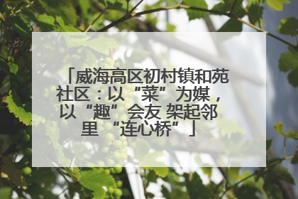 威海高区初村镇和苑社区：以“菜”为媒，以“趣”会友 架起邻里 “连心桥”
