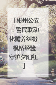 彬州公安：警民联动化赡养纠纷 枫桥经验守护夕阳红