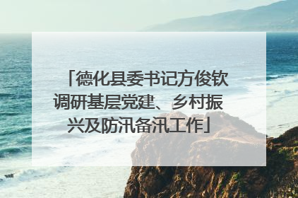德化县委书记方俊钦调研基层党建、乡村振兴及防汛备汛工作