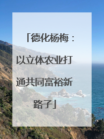 德化杨梅：以立体农业打通共同富裕新路子