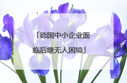 德国中小企业面临后继无人困境
