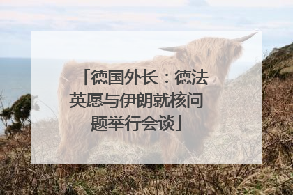 德国外长：德法英愿与伊朗就核问题举行会谈