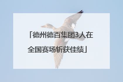 德州德百集团3人在全国赛场斩获佳绩