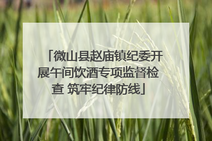 微山县赵庙镇纪委开展午间饮酒专项监督检查 筑牢纪律防线