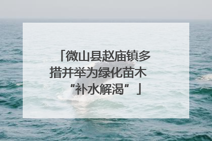 微山县赵庙镇多措并举为绿化苗木“补水解渴”