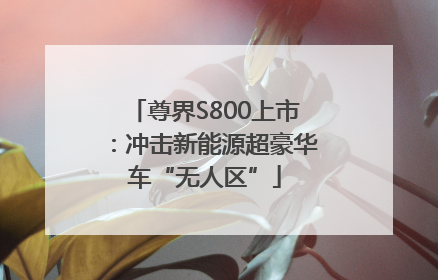 尊界S800上市：冲击新能源超豪华车“无人区”