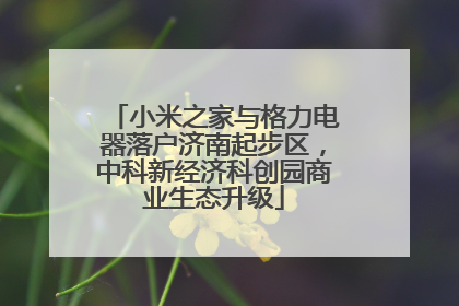小米之家与格力电器落户济南起步区，中科新经济科创园商业生态升级