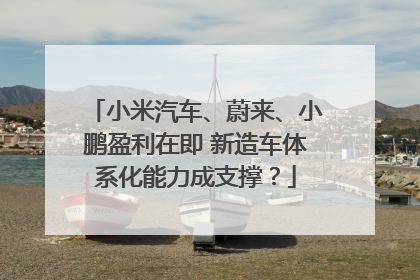 小米汽车、蔚来、小鹏盈利在即 新造车体系化能力成支撑？