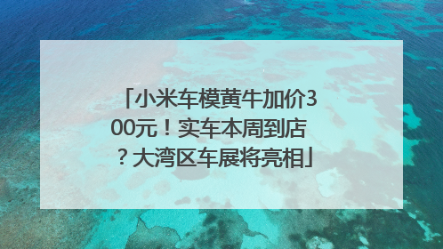 小米车模黄牛加价300元！实车本周到店？大湾区车展将亮相