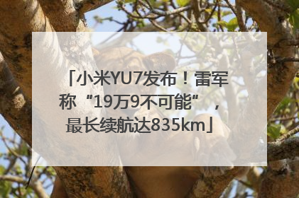小米YU7发布！雷军称“19万9不可能”，最长续航达835km