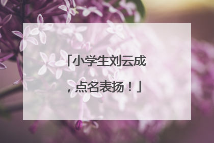 小学生刘云成，点名表扬！