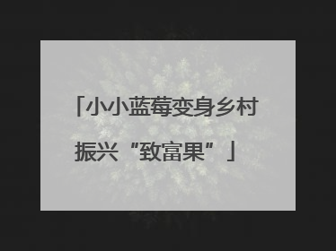 小小蓝莓变身乡村振兴“致富果”