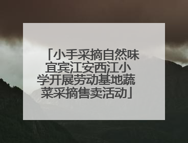 小手采摘自然味 宜宾江安西江小学开展劳动基地蔬菜采摘售卖活动