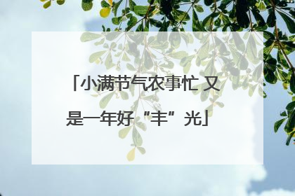 小满节气农事忙 又是一年好“丰”光