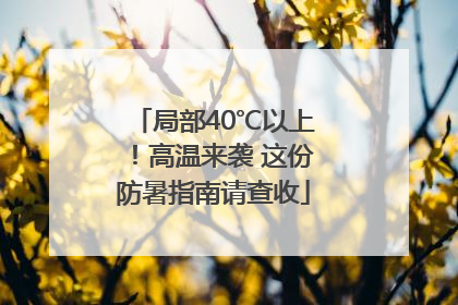 局部40℃以上！高温来袭 这份防暑指南请查收