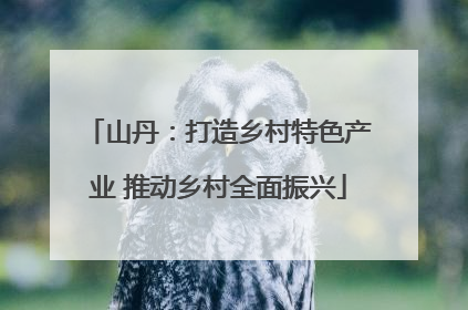 山丹：打造乡村特色产业 推动乡村全面振兴