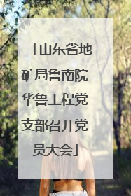山东省地矿局鲁南院华鲁工程党支部召开党员大会
