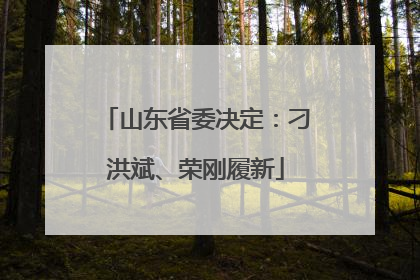 山东省委决定：刁洪斌、荣刚履新