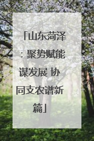 山东菏泽：聚势赋能谋发展 协同支农谱新篇
