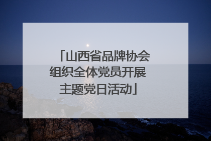 山西省品牌协会组织全体党员开展主题党日活动