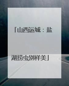 山西运城：盐湖捞虫别样美