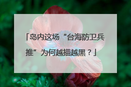 岛内这场“台海防卫兵推”为何越描越黑？